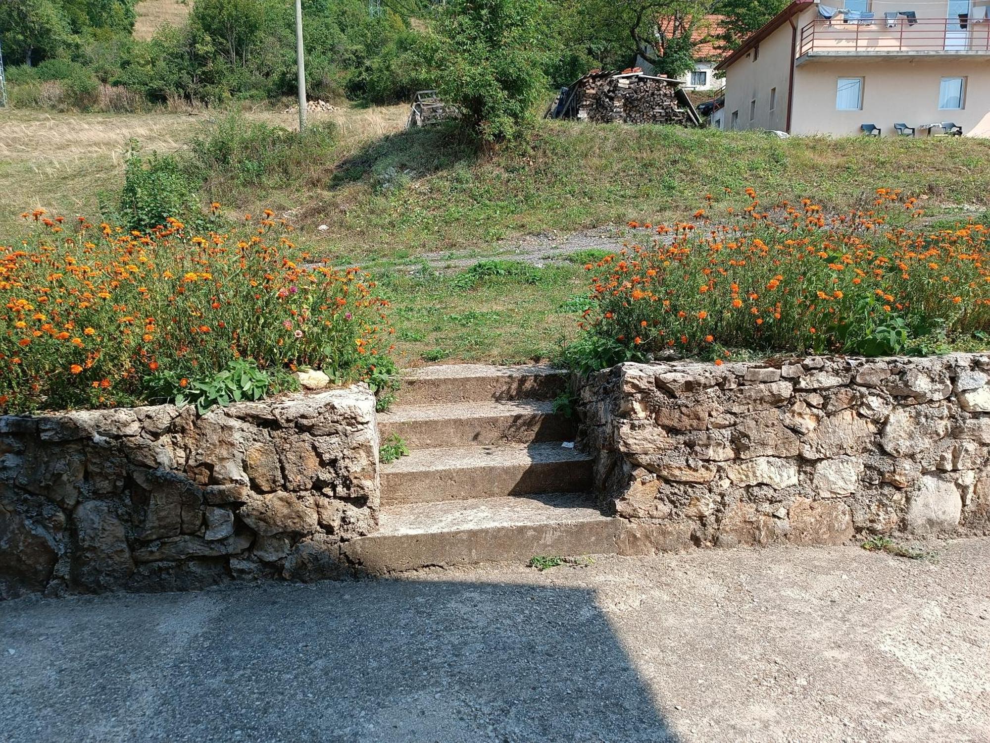 Apartment Pantovic Plužine Exterior foto